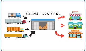Thuần Việt Logistics